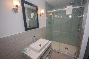 瓦特维尔Seaclusion Luxury Guest Accommodation的浴室配有盥洗盆和带镜子的淋浴