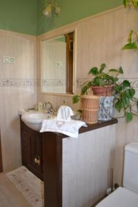 利亚内斯El Rincón del Oteru的浴室设有水槽、镜子和植物