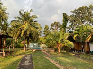 湄南海滩苏梅岛可可别墅酒店的棕榈树和游泳池的度假庭院