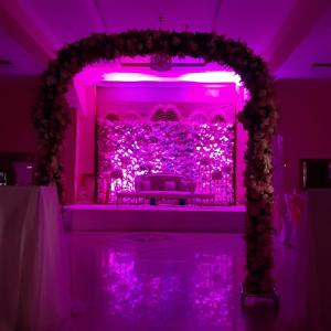 阿尔及尔Numidien Hotel的紫色的房间,有一个紫色灯光舞台
