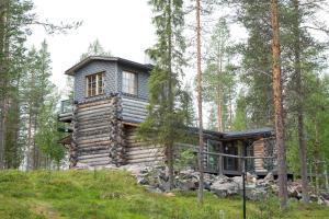 普哈圣山Ankkalinna的树林里的木小屋