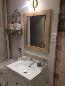 塞雷斯特Chez Adeline的一间带水槽和镜子的浴室