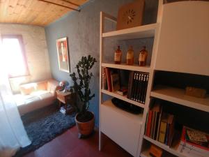 阿尔勒At Home in Arles的带沙发和书架的客厅