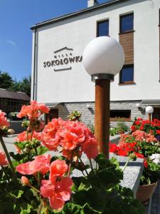 波兰尼卡-兹德鲁伊Willa Sokołówka的红花在建筑物前的街道灯