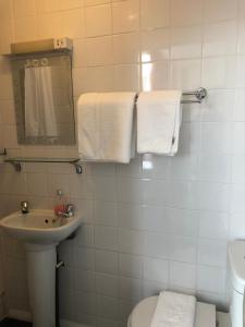 莱顿巴泽德The Hunt Lodge的浴室配有盥洗盆、卫生间和毛巾。