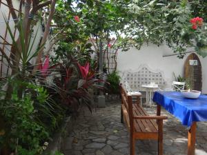 萨尔瓦多Hostel Casarão 65的花园里种有植物,配有桌椅