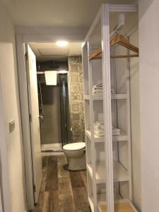 阿利坎特hostal olozaga的一间带卫生间和步入式淋浴间的浴室