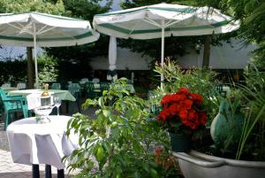 比特堡里安德酒店的两把伞和一张桌子,上面有植物和花卉