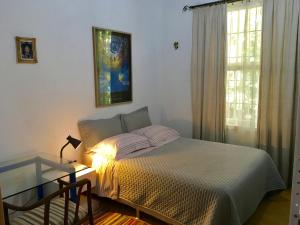 阿雷格里港Residência Acolhedora的一间卧室配有一张带灯和窗户的床