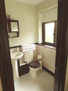 EdlingtonAt Last Bed & Breakfast的一间带卫生间、水槽和窗户的浴室