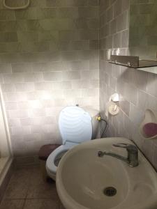 博尔若米GuestHouse Malkhazi的一间带卫生间和水槽的浴室