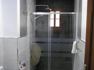 洛斯·亚诺斯·德·阿里丹CASA FLORENTINA的浴室里设有玻璃门淋浴