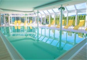 施卢赫湖Villa Sunside Appartements und Ferienwohnungen Schluchsee的一座带黄色椅子的游泳池