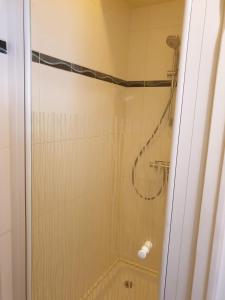 勒沙托多莱龙Ma Maison的浴室里设有玻璃门淋浴