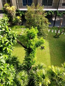 曼谷N11Hotel的一座花园,在一座建筑前种有树木和植物
