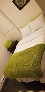 魁北克市Paradis de vacances的一间卧室配有一张带绿毯的床