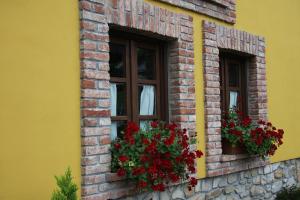 努埃瓦德兰斯Hotel rural La Llastra的两扇窗户,里面装有鲜花,位于大楼内