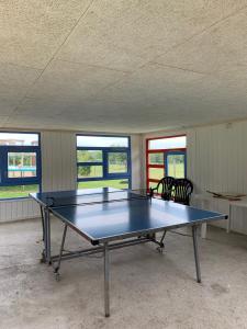 比伦德Billund Farm Holiday的带窗户的客房内的乒乓球桌