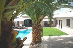 GálvezEl Tornadillo的游泳池旁的棕榈树