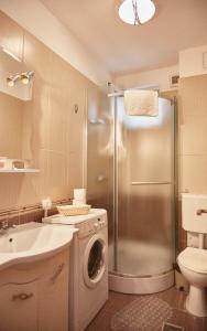 康斯坦察Gabizz Apartments的带淋浴和洗衣机的浴室