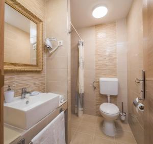奥米什Villa Charlotte的一间带水槽、卫生间和镜子的浴室