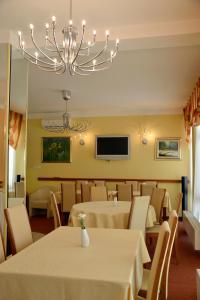 达鲁瓦尔Hotel Mladimir的一间带桌椅和吊灯的用餐室