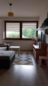 多纳瓦利Apartman-Bruno的带沙发和桌子的客厅以及2扇窗户。