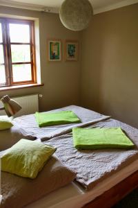 KluisKleine Auszeit的一间卧室配有两张带绿色枕头的床。