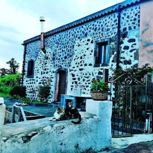 米罗Villa Etna Masi'的两只猫坐在建筑物前