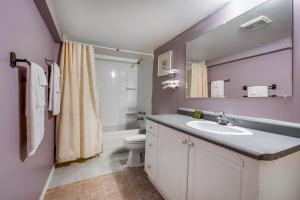 Long Sault常索尔特汽车旅馆的一间带水槽和卫生间的浴室