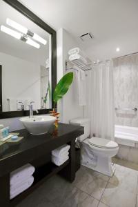 金斯敦S Hotel Kingston的一间带水槽、卫生间和镜子的浴室