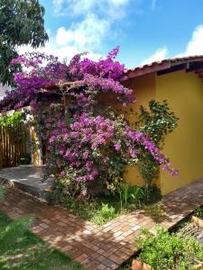 韦尔卡鲍Pousada Pomar dos Campos的花朵花房的一侧