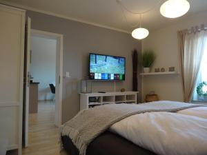 费马恩Kleine Mathilde的一间卧室配有一张床和一台平面电视