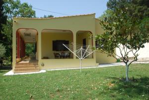 卡瓦拉Ktima Garidis的院子中一棵树的小黄色房子
