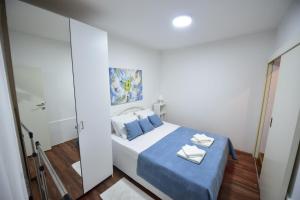贝尔格莱德Gardos house above Danube的一间卧室配有一张带蓝色床单和枕头的床。