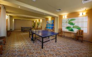 普雷代亚尔Eden 5的一间房间,里面设有两张乒乓球桌