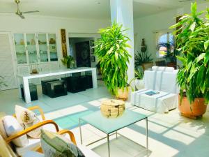 卡塔赫纳Penthouse Caribbean View and private pool, Cartagena的一间客厅,配有白色家具和盆栽植物