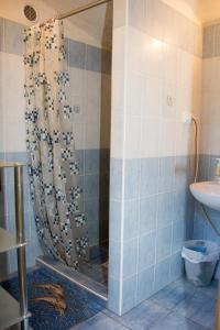 Želiv秘境公寓的浴室内配有淋浴帘。