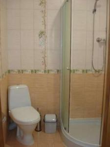 苏梅Гостиничные номера и сауна的一间带卫生间和淋浴的浴室