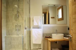 博福特Chalet du Bersend的带淋浴和盥洗盆的浴室