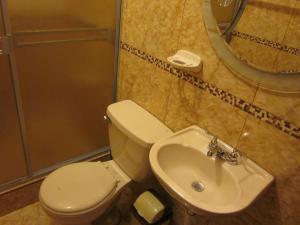 阿雷基帕阿雷基帕沙拉潘帕公寓的一间带卫生间、水槽和镜子的浴室