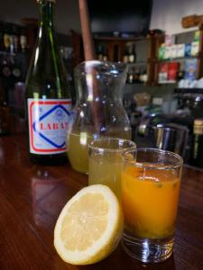 桑塔纳Casa do Ribeiro Frio的桌上的一杯橙汁和柠檬
