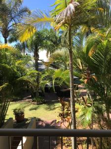 黄金海岸圣地海滩度假酒店的从棕榈树度假村的阳台可以欣赏到风景