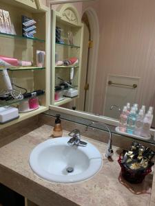一宫市Osyare Kizoku Ichinomiya (Adult Only)的浴室的柜台设有水槽和镜子
