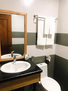 波来古市Hoài Thương Hotel的一间带水槽、卫生间和镜子的浴室