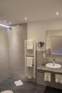 温德尔斯巴赫盖斯特豪弗林顿和威尔德克奥特酒店的一间带水槽、卫生间和淋浴的浴室