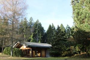 特里贝格斯托德旅馆的森林中间的小木屋