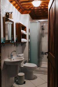 伯萨Misgibi Hotel的一间带水槽、卫生间和淋浴的浴室