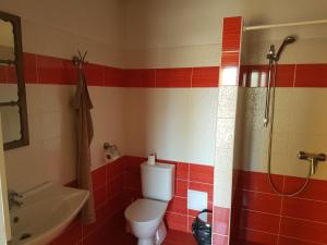 恰斯拉夫Penzion/Motorest Na Písku的浴室配有卫生间、盥洗盆和淋浴。