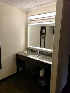 纳什维尔纳什维尔俱乐部酒店的一间带水槽和大镜子的浴室